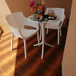 Macallé Syracuse